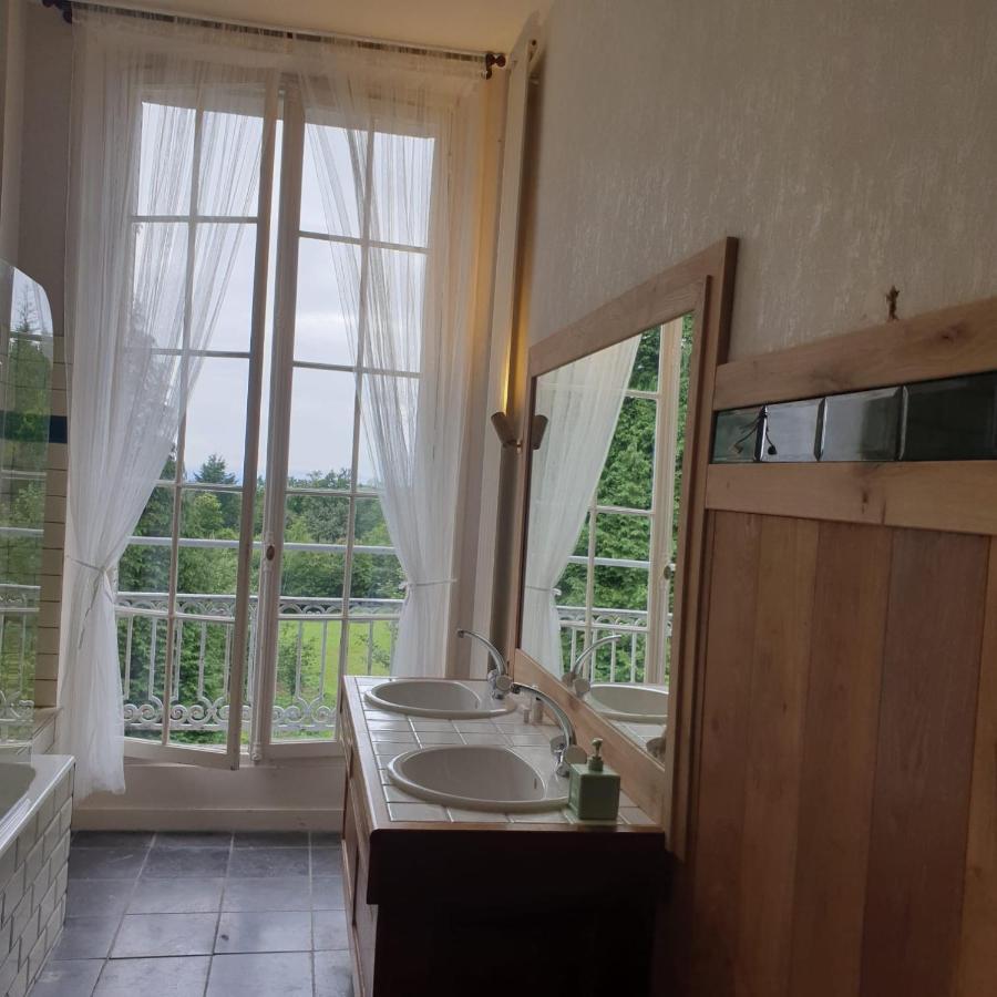 Chateau De Clinzeau Saint-Leger-de-Fougeret 外观 照片